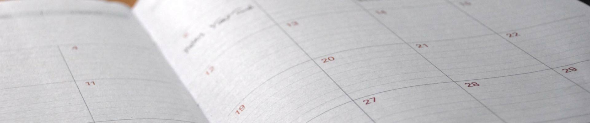 Day planner with calendar days